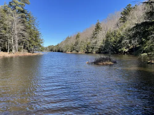 10 Best Wildlife Trails in Otter Lake | AllTrails