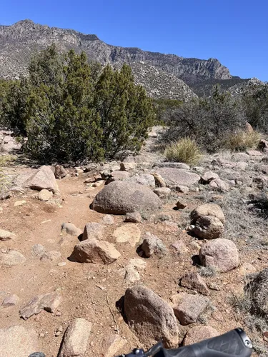 Best Short Trails in Elena Gallegos Picnic Area/Albert G. Simms Park ...