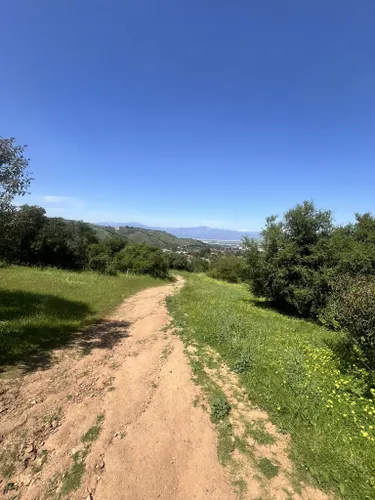 Best Forest Trails in Puente Hills Preserve | AllTrails