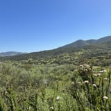 Millar Ranch Road, California - 364 Reviews, Map | AllTrails