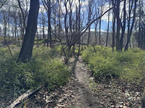 Best hikes and trails in Graham Hills Park AllTrails