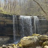 Virgin Falls Trail, Tennessee - 2,351 Reviews, Map | AllTrails