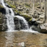 Dark Hollow Falls Trail Virginia - EyJidWNrZXQiOiJhc3NldHMuYWxsdHJhaWxzLmNvbSIsImtleSI6InVwbG9hZHMvcGhvdG8vaW1hZ2UvNzI3NDExNTQvMGFmNWExMTlmNjBmYzU5YTg2Nzg1OWE4NGExYjJhMzguanBnIiwiZWRpdHMiOnsidG9Gb3JtYXQiOiJqcGVnIiwicmVzaXplIjp7IndpZHRoIjoxNjAsImhlaWdodCI6MTYwLCJmaXQiOiJjb3ZlciJ9LCJyb3RhdGUiOm51bGwsImpwZWciOnsidHJlbGxpc1F1YW50aXNhdGlvbiI6dHJ1ZSwib3ZlcnNob290RGVyaW5naW5nIjp0cnVlLCJvcHRpbWlzZVNjYW5zIjp0cnVlLCJxdWFudGlzYXRpb25UYWJsZSI6M319fQ==