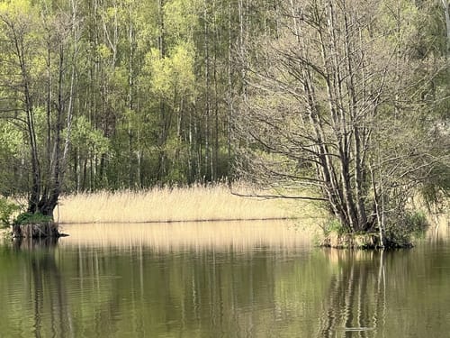 Runde um den Torfstichsee