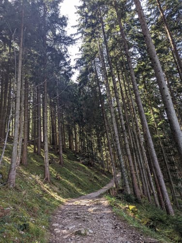Blomberg Rundweg zum alten Zwiesel