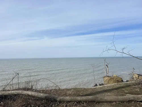 Suburban Bliss: 5 Stunning Hiking Trails in Mentor – Ohio