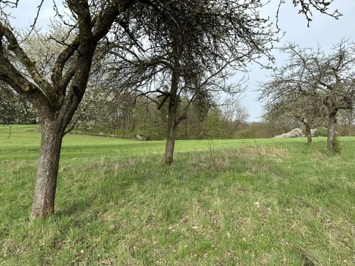 Zweiburgen-Extratour (Premiumwanderweg)