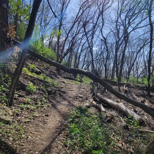 Best Dog Friendly Trails in Kansas City AllTrails