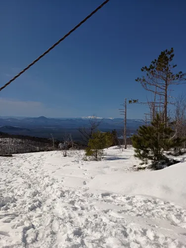 Best Forest Trails in Pleasant - EyJidWNrZXQiOiJhc3NldHMuYWxsdHJhaWxzLmNvbSIsImtleSI6InVwbG9hZHMvcGhvdG8vaW1hZ2UvNzI3NzU3OTUvZGJhZjFjNGEyZTZhOGZjMjRkZDIwMGYyZGU1NWE4ZTIuanBnIiwiZWRpdHMiOnsidG9Gb3JtYXQiOiJ3ZWJwIiwicmVzaXplIjp7IndpZHRoIjo1MDAsImhlaWdodCI6NTAwLCJmaXQiOiJpbnNpZGUifSwicm90YXRlIjpudWxsLCJqcGVnIjp7InRyZWxsaXNRdWFudGlzYXRpb24iOnRydWUsIm92ZXJzaG9vdERlcmluZ2luZyI6dHJ1ZSwib3B0aW1pc2VTY2FucyI6dHJ1ZSwicXVhbnRpc2F0aW9uVGFibGUiOjN9fX0=