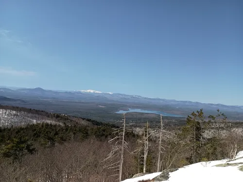 Best Forest Trails in Pleasant - EyJidWNrZXQiOiJhc3NldHMuYWxsdHJhaWxzLmNvbSIsImtleSI6InVwbG9hZHMvcGhvdG8vaW1hZ2UvNzI3NzU4MjEvMDc3ZDVmOTE4ZDRjNjg0YTE0ODU3NmIyZWYwOWI1MDkuanBnIiwiZWRpdHMiOnsidG9Gb3JtYXQiOiJ3ZWJwIiwicmVzaXplIjp7IndpZHRoIjo1MDAsImhlaWdodCI6NTAwLCJmaXQiOiJpbnNpZGUifSwicm90YXRlIjpudWxsLCJqcGVnIjp7InRyZWxsaXNRdWFudGlzYXRpb24iOnRydWUsIm92ZXJzaG9vdERlcmluZ2luZyI6dHJ1ZSwib3B0aW1pc2VTY2FucyI6dHJ1ZSwicXVhbnRpc2F0aW9uVGFibGUiOjN9fX0=