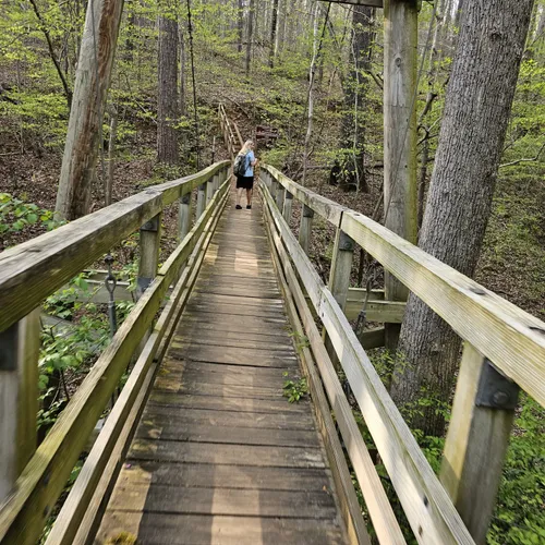 Best Walking Trails in Chicopee Woods Park | AllTrails