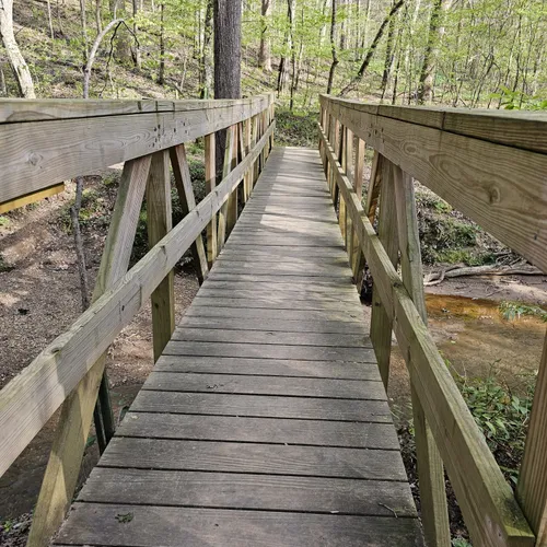 Best Walking Trails in Chicopee Woods Park | AllTrails