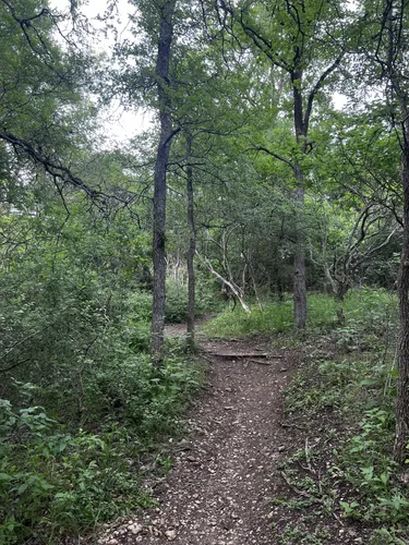 Best Historic Site Trails in McKinney - EyJidWNrZXQiOiJhc3NldHMuYWxsdHJhaWxzLmNvbSIsImtleSI6InVwbG9hZHMvcGhvdG8vaW1hZ2UvNzI3Nzg5MjUvZmViMzBlNDk1ODNmMmY3NzRkYzJmOTc5YTQ3NjU4MTUuanBnIiwiZWRpdHMiOnsidG9Gb3JtYXQiOiJ3ZWJwIiwicmVzaXplIjp7IndpZHRoIjo1MDAsImhlaWdodCI6NTAwLCJmaXQiOiJpbnNpZGUifSwicm90YXRlIjpudWxsLCJqcGVnIjp7InRyZWxsaXNRdWFudGlzYXRpb24iOnRydWUsIm92ZXJzaG9vdERlcmluZ2luZyI6dHJ1ZSwib3B0aW1pc2VTY2FucyI6dHJ1ZSwicXVhbnRpc2F0aW9uVGFibGUiOjN9fX0=