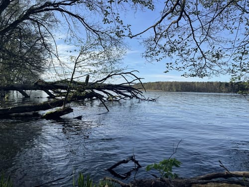 Wanderweg Schmöckwitzer Werder