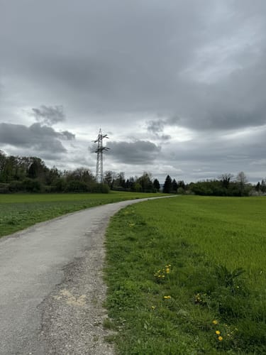 Mainauwald rund um St. Katharina
