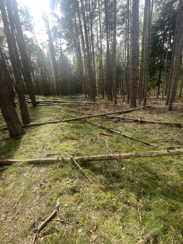 Altwarp Süd