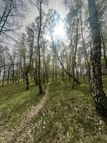 Altwarp Süd
