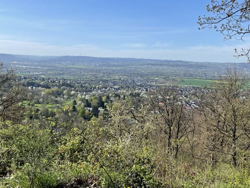 Rheinsteig-Exkursion Schauinsland