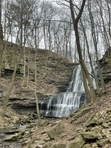 Best Forest Trails in Chedoke Park | AllTrails