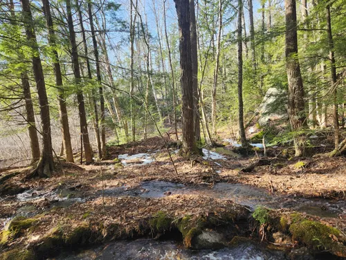 Best Hikes and Trails in Boston Lot Conservation Area | AllTrails