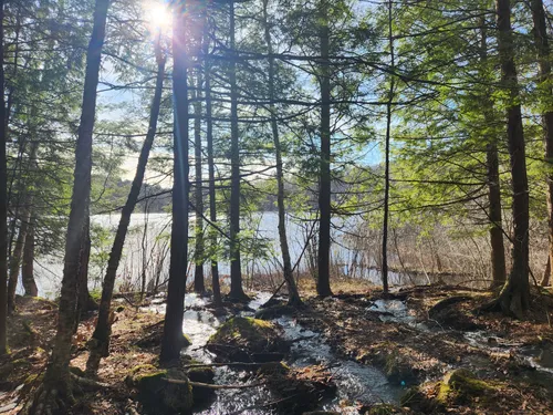 Best Hikes and Trails in Boston Lot Conservation Area | AllTrails