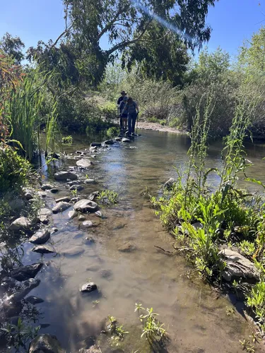 Best River Trails in Santa Ana - EyJidWNrZXQiOiJhc3NldHMuYWxsdHJhaWxzLmNvbSIsImtleSI6InVwbG9hZHMvcGhvdG8vaW1hZ2UvNzI3OTkzNDYvOTQ1YzliNTQwODE2YTliNmRjNjE1OGVhZDhiMzY4MmMuanBnIiwiZWRpdHMiOnsidG9Gb3JtYXQiOiJ3ZWJwIiwicmVzaXplIjp7IndpZHRoIjo1MDAsImhlaWdodCI6NTAwLCJmaXQiOiJpbnNpZGUifSwicm90YXRlIjpudWxsLCJqcGVnIjp7InRyZWxsaXNRdWFudGlzYXRpb24iOnRydWUsIm92ZXJzaG9vdERlcmluZ2luZyI6dHJ1ZSwib3B0aW1pc2VTY2FucyI6dHJ1ZSwicXVhbnRpc2F0aW9uVGFibGUiOjN9fX0=