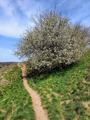 W 48 Undorf - Alpine Steige - Eilsbrunn (Blaues Rechteck)