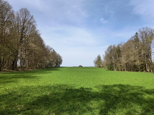 W 48 Undorf - Alpine Steige - Eilsbrunn (Blaues Rechteck)