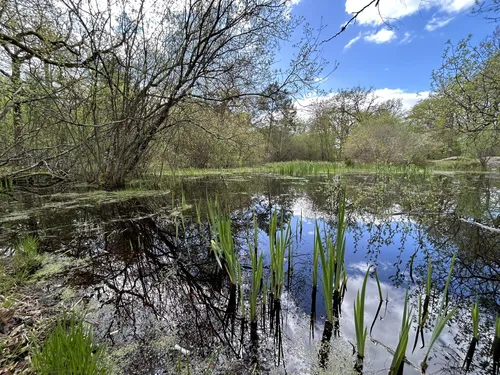10 Best forest trails in Fontainebleau | AllTrails