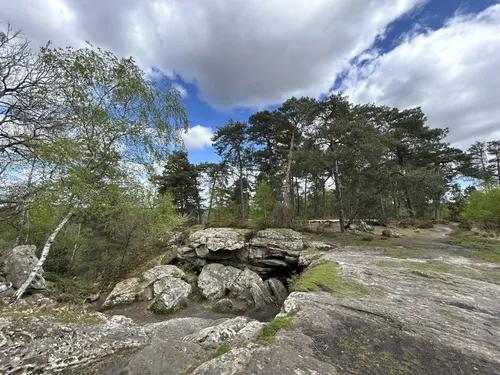 10 Best forest trails in Fontainebleau | AllTrails