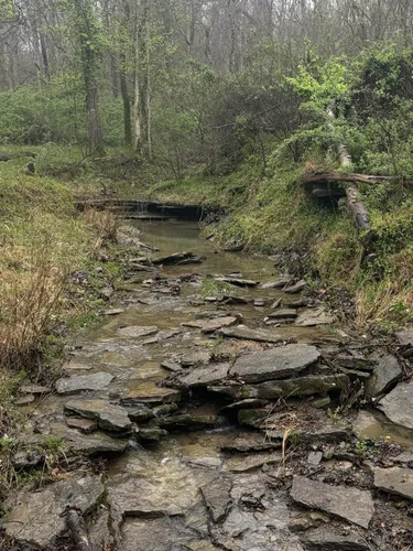 Best Forest Trails in Amelia AllTrails