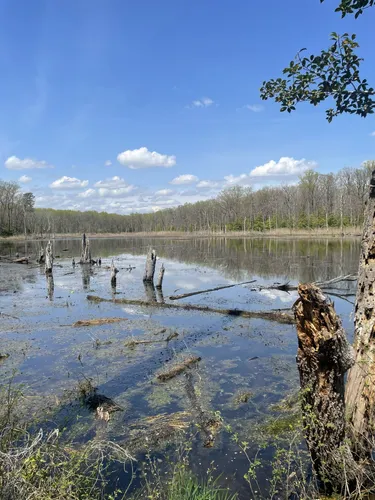 Best Easy Trails in North Point State Park AllTrails
