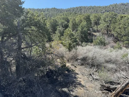 Best Kid Friendly Trails in Elena Gallegos Picnic Area/Albert G. Simms ...