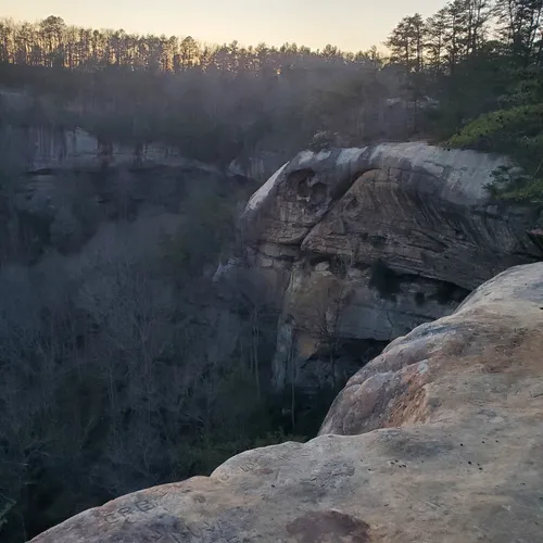 Best Camping Trails in Frenchburg AllTrails