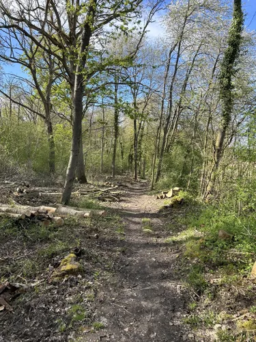 Best Forest Trails In Forêt De L'hautil 