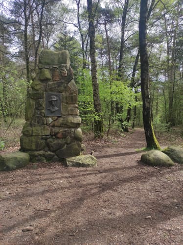 Durch die Coesfelder Heide und Vogelparadies Kuhlvenn
