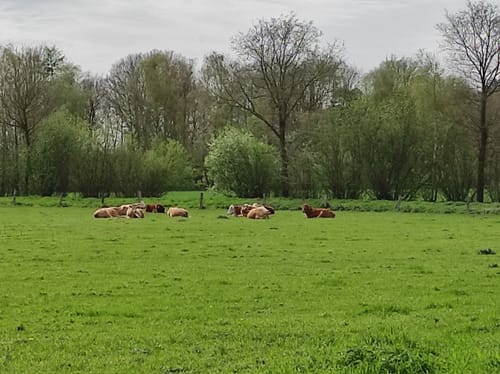 Durch die Coesfelder Heide und Vogelparadies Kuhlvenn