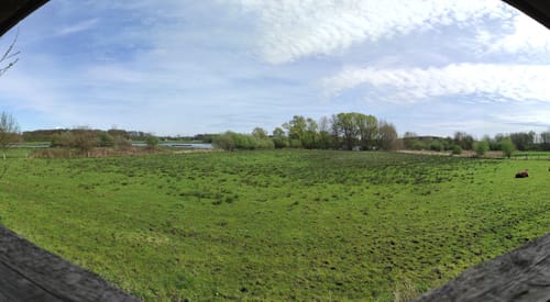 Durch die Coesfelder Heide und Vogelparadies Kuhlvenn