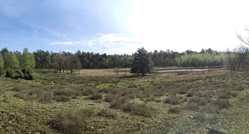 Durch die Coesfelder Heide und Vogelparadies Kuhlvenn