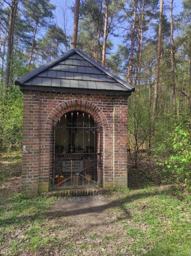 Durch die Coesfelder Heide und Vogelparadies Kuhlvenn