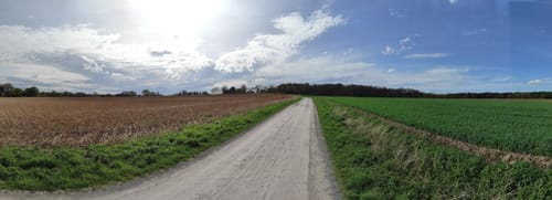 Durch die Coesfelder Heide und Vogelparadies Kuhlvenn