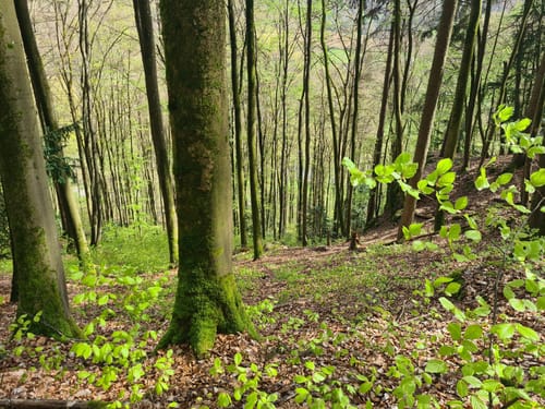 Osterfelsen und Osterstube