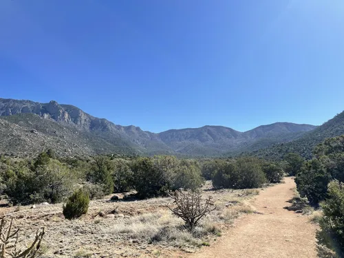 Best Kid Friendly Trails in Elena Gallegos Picnic Area/Albert G. Simms ...