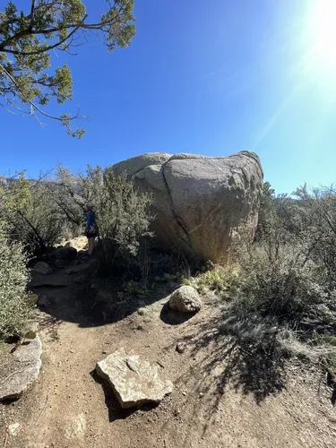 Best Kid Friendly Trails in Elena Gallegos Picnic Area/Albert G. Simms ...