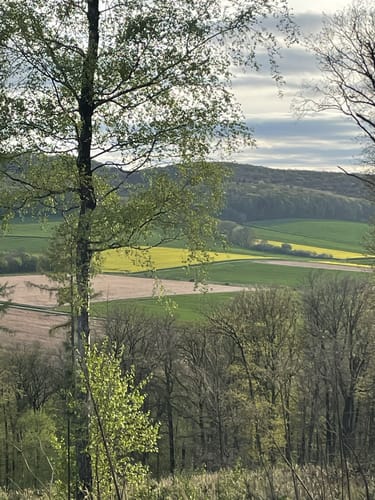 Turmberg Trail
