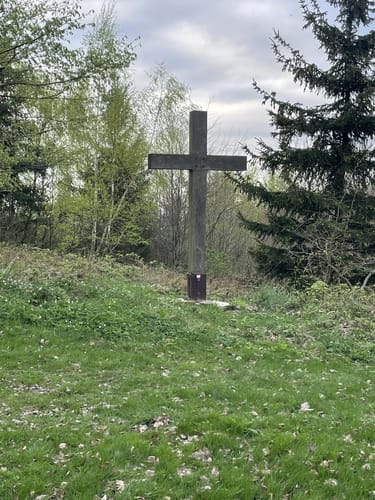 Turmberg Trail