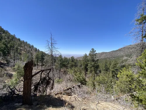Best Kid Friendly Trails in Elena Gallegos Picnic Area/Albert G. Simms ...