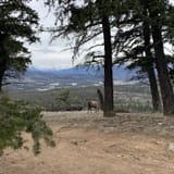 Pyramid Lake Loop, Alberta, Canada - 1,300 Reviews, Map | AllTrails