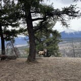 Pyramid Lake Loop, Alberta, Canada - 1,358 Reviews, Map | AllTrails