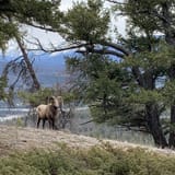 Pyramid Lake Loop, Alberta, Canada - 1,358 Reviews, Map | AllTrails
